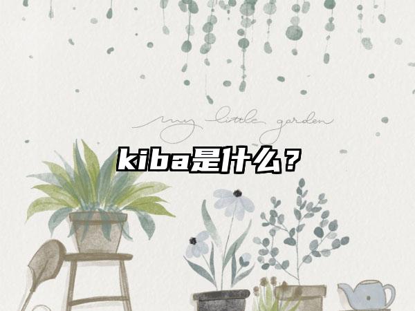 kiba是什么？