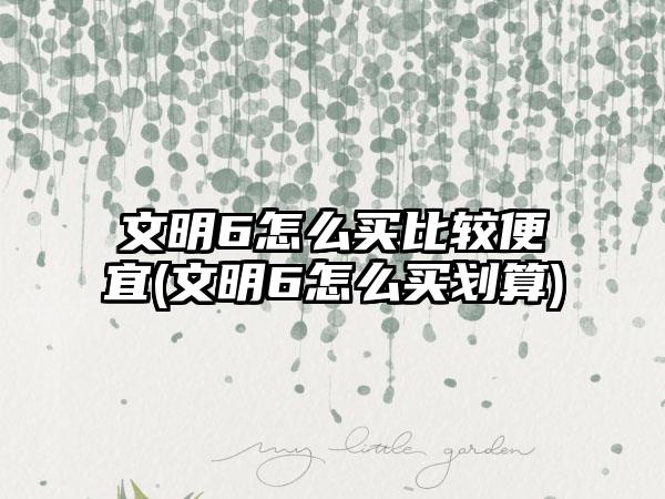 文明6怎么买比较便宜(文明6怎么买划算)