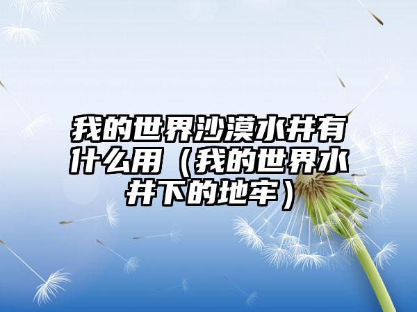 我的世界沙漠水井有什么用（我的世界水井下的地牢）