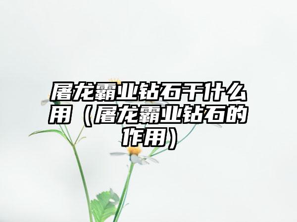 屠龙霸业钻石干什么用（屠龙霸业钻石的作用）