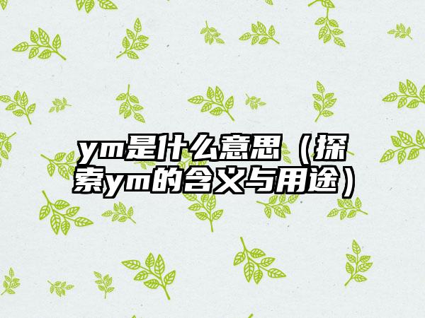 ym是什么意思（探索ym的含义与用途）