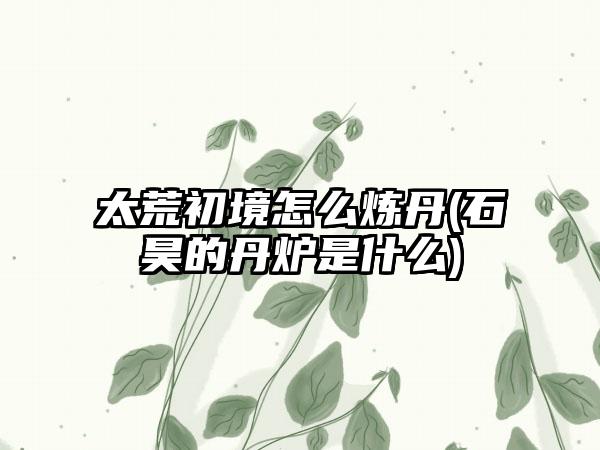 太荒初境怎么炼丹(石昊的丹炉是什么)