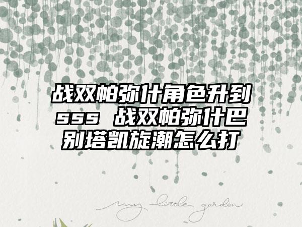 战双帕弥什角色升到sss 战双帕弥什巴别塔凯旋潮怎么打