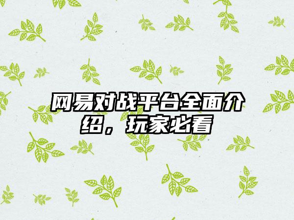 网易对战平台全面介绍，玩家必看