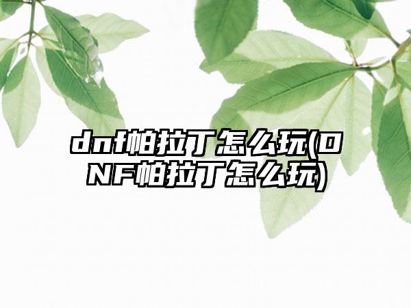dnf帕拉丁怎么玩(DNF帕拉丁怎么玩)