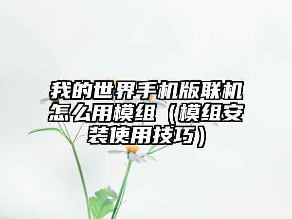 我的世界手机版联机怎么用模组（模组安装使用技巧）