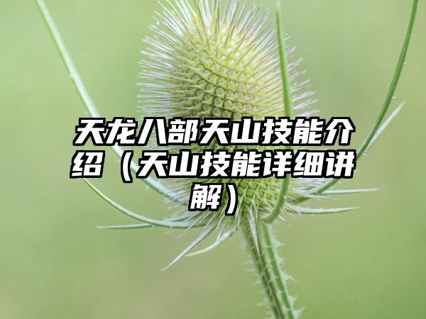 天龙八部天山技能介绍（天山技能详细讲解）