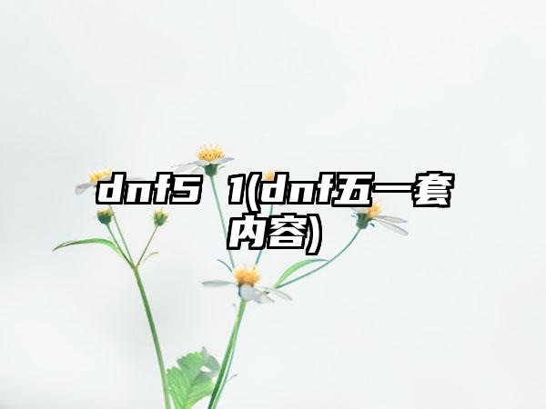 dnf5 1(dnf五一套内容)