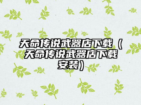 天命传说武器店（天命传说武器店安装）