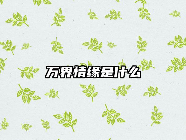 万界情缘是什么
