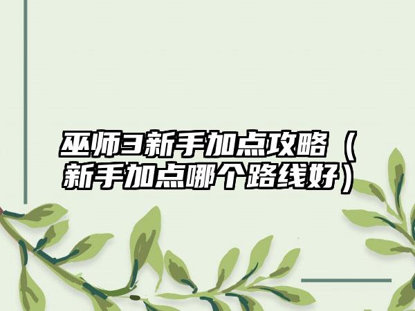 巫师3新手加点攻略（新手加点哪个路线好）