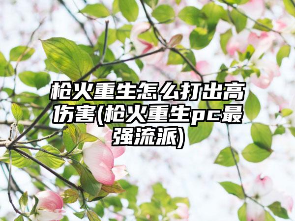 枪火重生怎么打出高伤害(枪火重生pc最强流派)