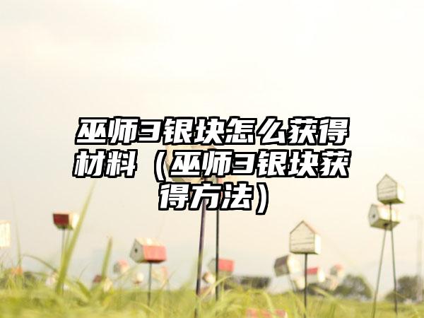 巫师3银块怎么获得材料（巫师3银块获得方法）