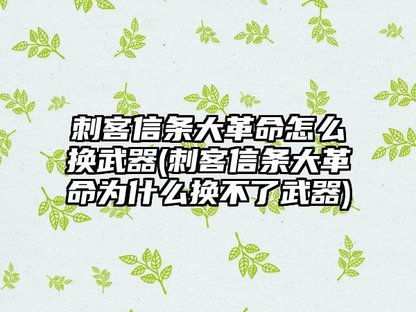 刺客信条大革命怎么换武器(刺客信条大革命为什么换不了武器)