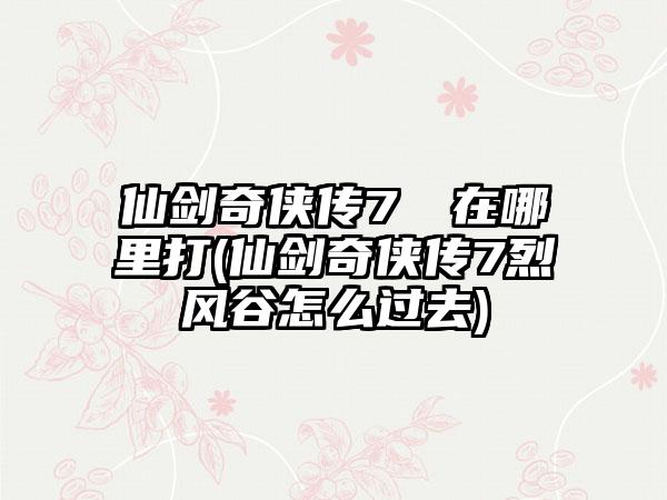 仙剑奇侠传7莙荙在哪里打(仙剑奇侠传7烈风谷怎么过去)
