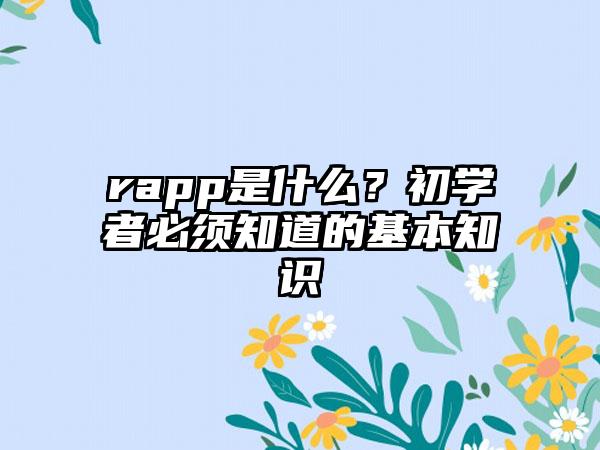 rapp是什么？初学者必须知道的基本知识
