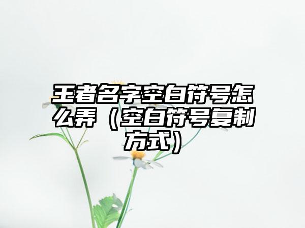王者名字空白符号怎么弄（空白符号复制方式）