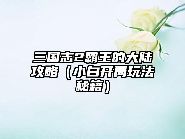 三国志2霸王的大陆攻略（小白开局玩法秘籍）