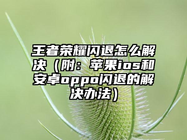 王者荣耀闪退怎么解决（附：苹果ios和安卓oppo闪退的解决办法）