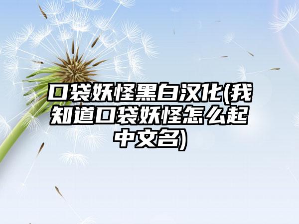 口袋妖怪黑白汉化(我知道口袋妖怪怎么起中文名)