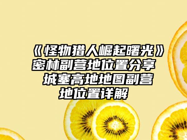 《怪物猎人崛起曙光》密林副营地位置分享 城塞高地地图副营地位置详解