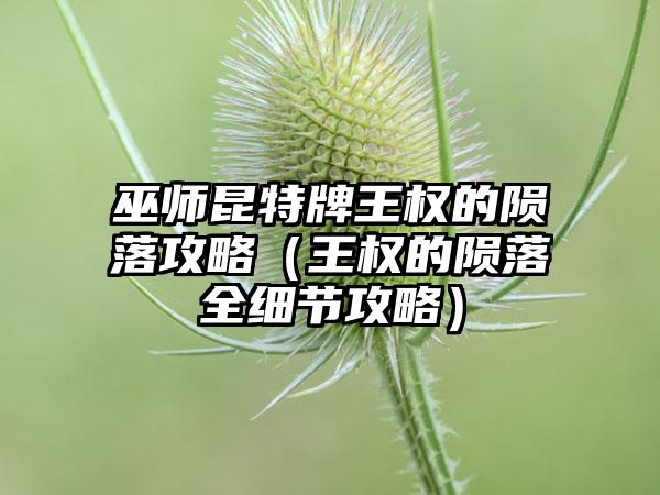 巫师昆特牌王权的陨落攻略（王权的陨落全细节攻略）