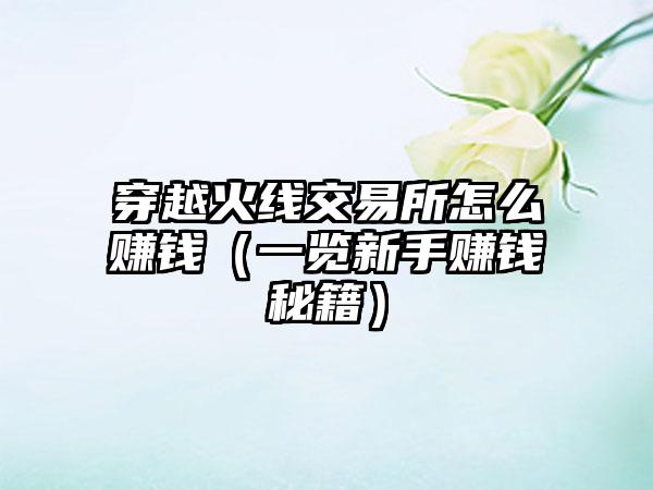 穿越火线交易所怎么赚钱（一览新手赚钱秘籍）