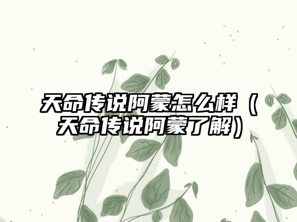 天命传说阿蒙怎么样（天命传说阿蒙了解）