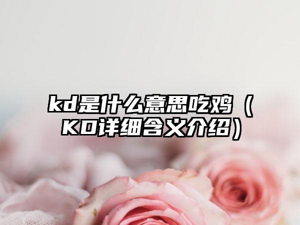 kd是什么意思吃鸡（KD详细含义介绍）