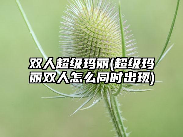 双人超级玛丽(超级玛丽双人怎么同时出现)