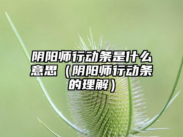 阴阳师行动条是什么意思（阴阳师行动条的理解）