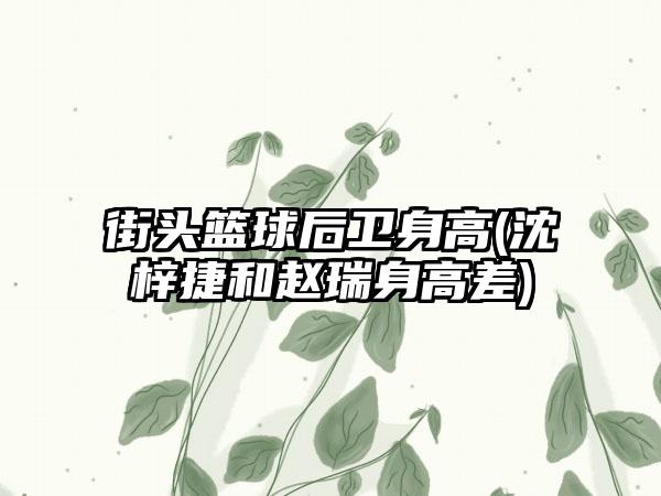 街头篮球后卫身高(沈梓捷和赵瑞身高差)