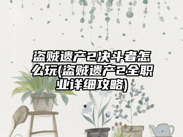 盗贼遗产2决斗者怎么玩(盗贼遗产2全职业详细攻略)