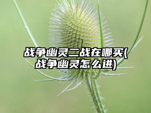 战争幽灵二战在哪买(战争幽灵怎么进)