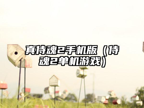 真侍魂2手机版（侍魂2单机游戏）