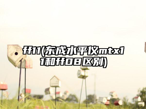ff11(东成水平仪mtx11和ff08区别)
