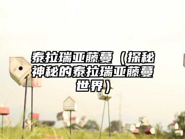 泰拉瑞亚藤蔓（探秘神秘的泰拉瑞亚藤蔓世界）
