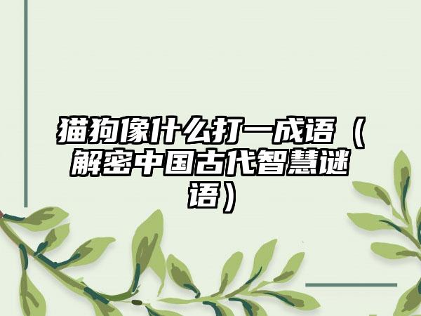 猫狗像什么打一成语（解密中国古代智慧谜语）