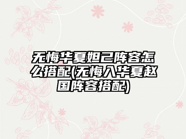 无悔华夏妲己阵容怎么搭配(无悔入华夏赵国阵容搭配)