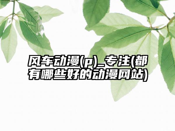 风车动漫(p)_专注(都有哪些好的动漫网站)