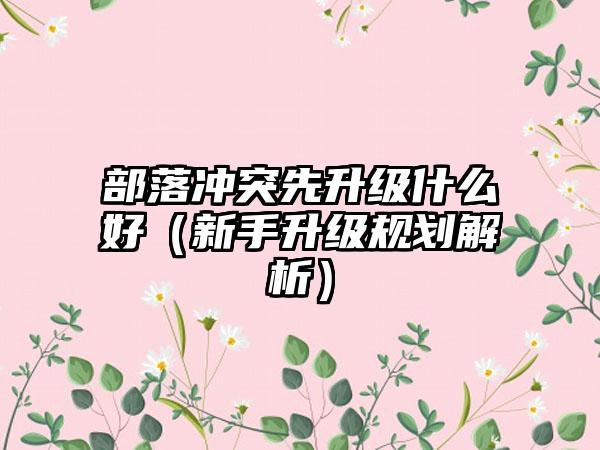 部落冲突先升级什么好（新手升级规划解析）