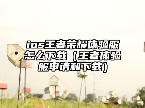 ios王者荣耀体验服怎么下载（王者体验服申请和下载）