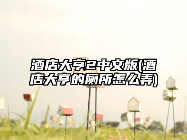 酒店大亨2中文版(酒店大亨的厕所怎么弄)