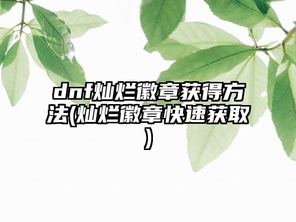 dnf灿烂徽章获得方法(灿烂徽章快速获取)