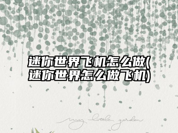 迷你世界飞机怎么做(迷你世界怎么做飞机)