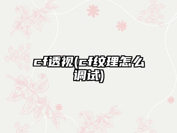cf透视(cf纹理怎么调试)