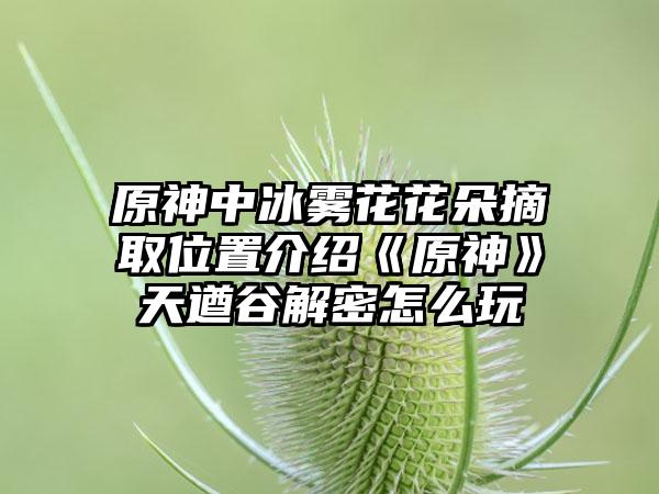 原神中冰雾花花朵摘取位置介绍《原神》天遒谷解密怎么玩
