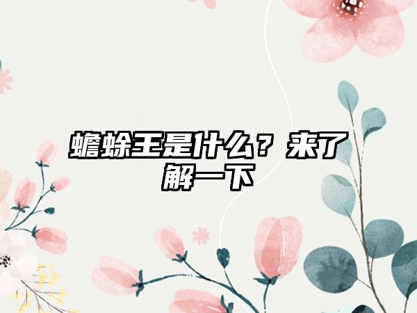 蟾蜍王是什么？来了解一下