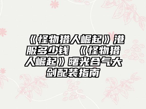 《怪物猎人崛起》港服多少钱 《怪物猎人崛起》曙光合气大剑配装指南