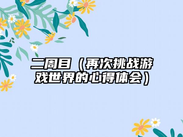 二周目（再次挑战游戏世界的心得体会）